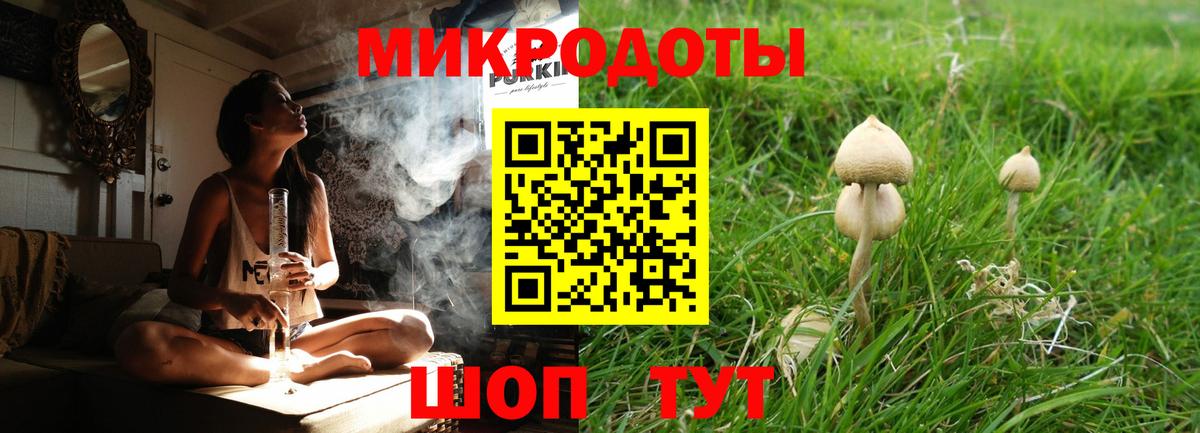 Псилоцибиновые грибы Cubensis  Вход с VPN  Королёв 